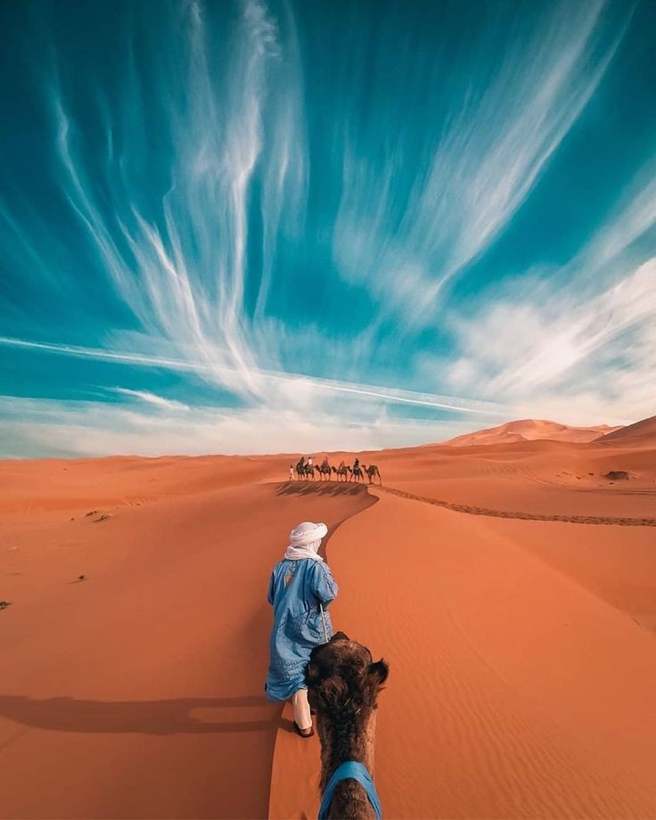 Home 529c199f2097f9de8eda33927ffadb22