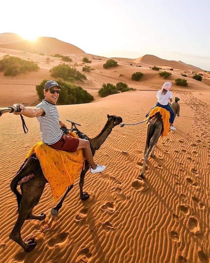 9004bcca866ed4c05d56eb86ccf2a6da 9004bcca866ed4c05d56eb86ccf2a6da