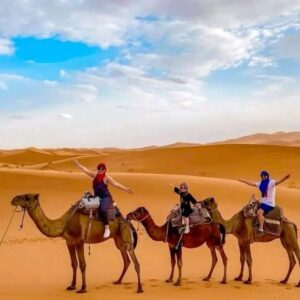 9e2342b2e0f2dd3f6413f50f3faaaa4e