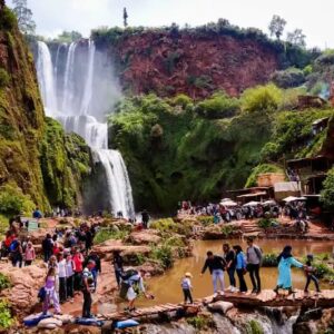 whatsapp image 2025 10 31 at 01.30.42