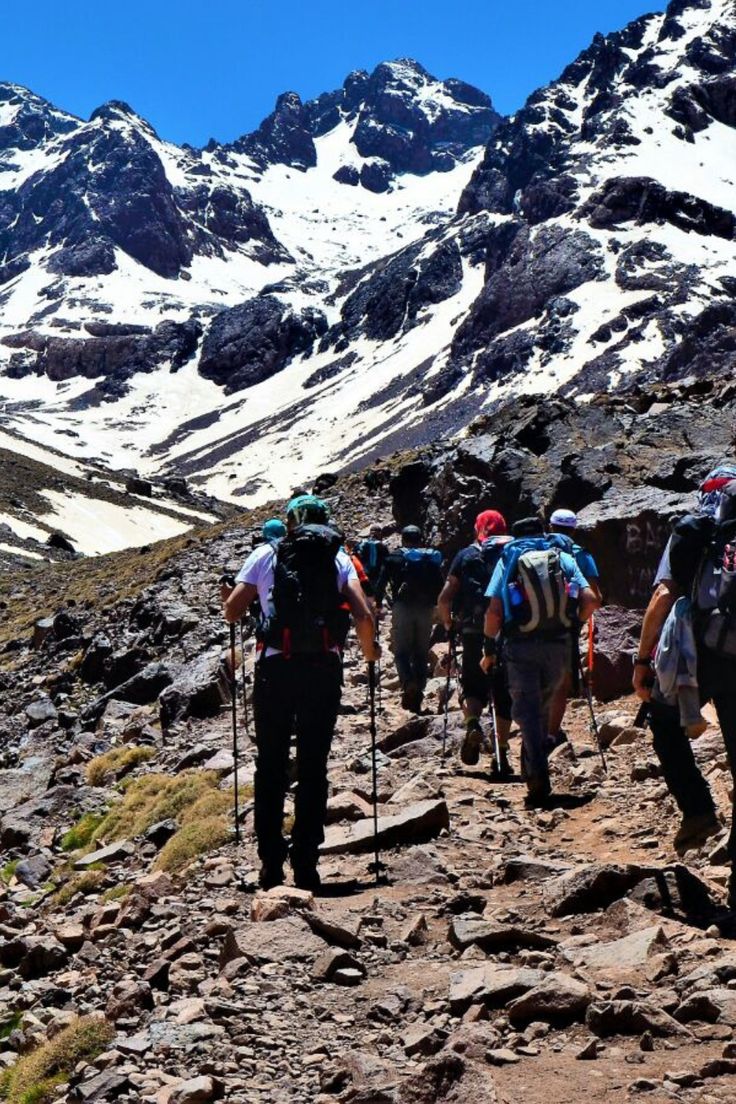 whatsapp image 2025 12 05 at 00.13.46