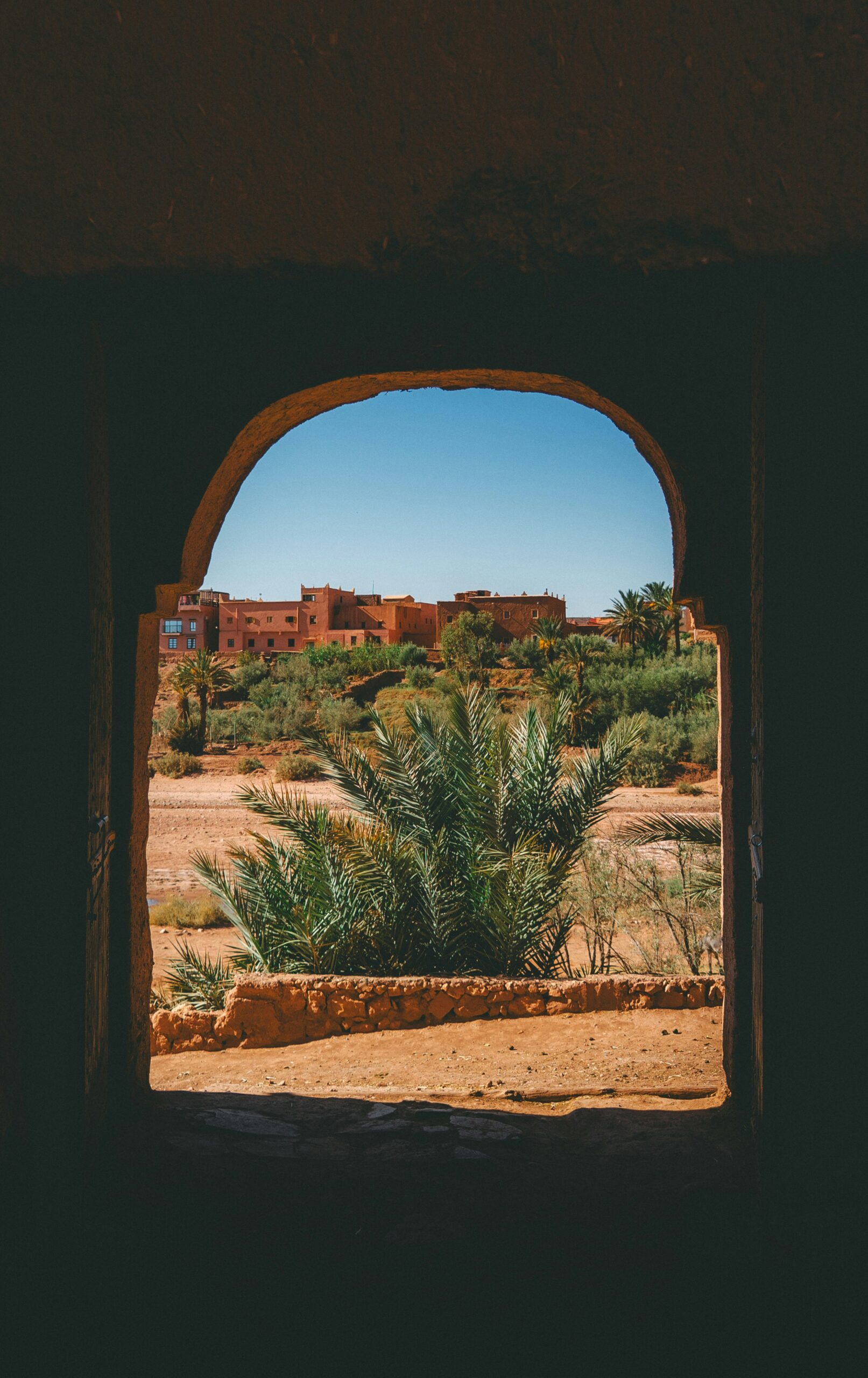 mathieu gauzy usxdcf06acu unsplash