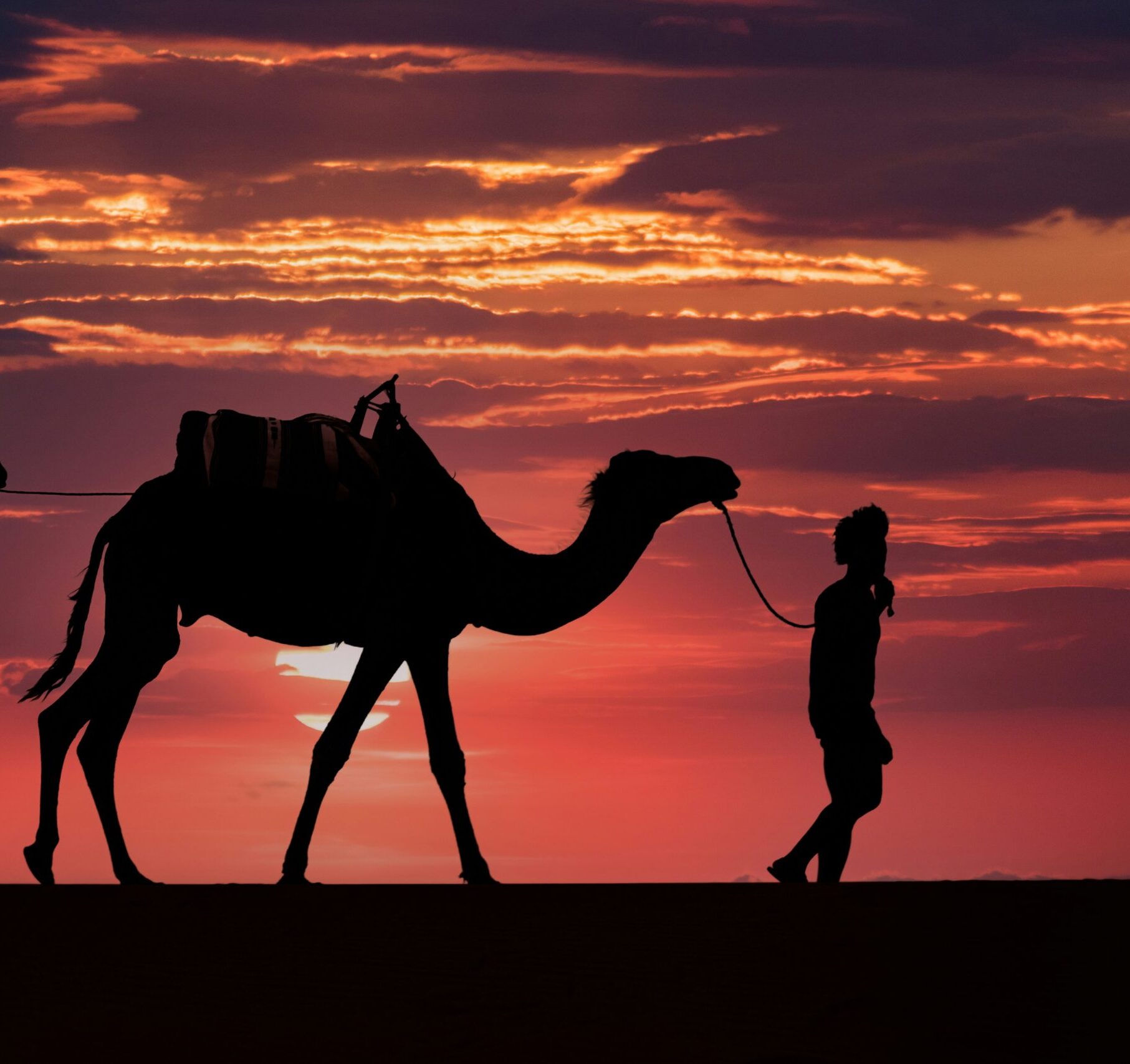 Agafay desert camel ride sunset day trip from Marrakech Morocco