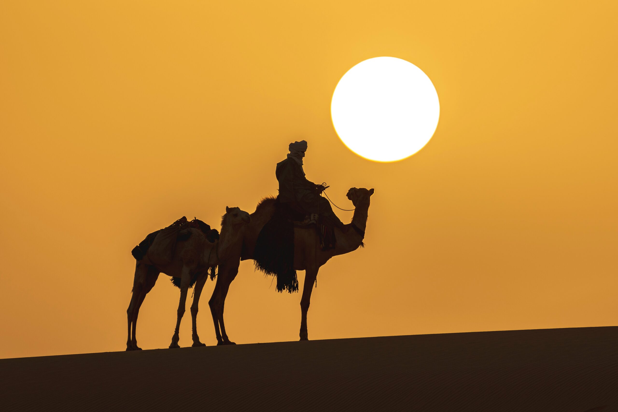 noureddine belfethi qaa vqcomvc unsplash