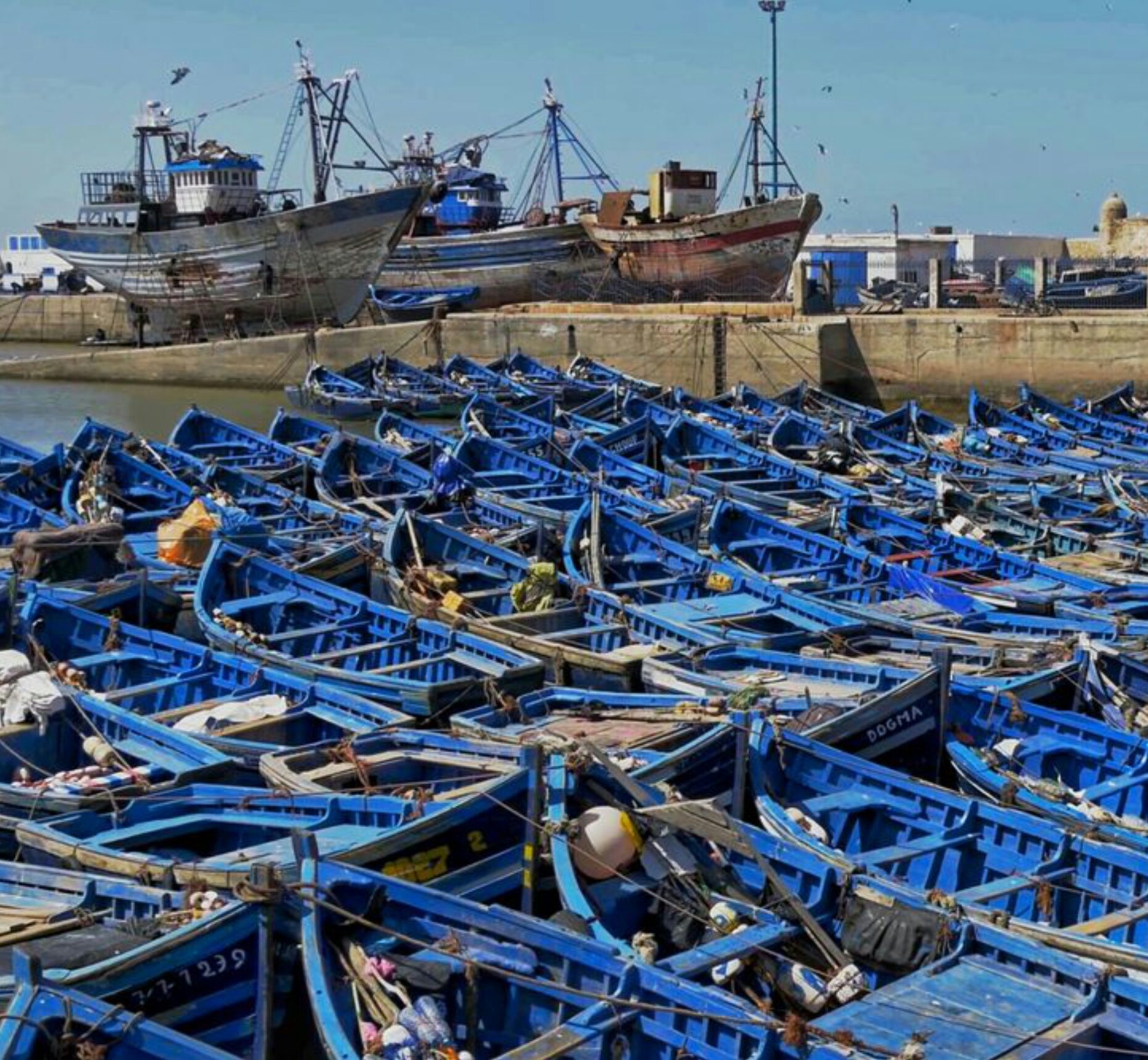 Essaouira coastal city day trip from Marrakech Morocco fishing port and blue boats